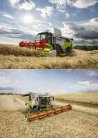 Claas Trion 530 + 700 gallery