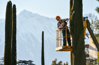 STIHL Smart Connector, 10 Stück 2