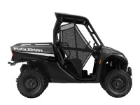 Segway UTV Fugleman UT10 E LOF, anthrazit-schwarz (Vorf&uuml