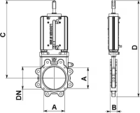 Battioni Pagani Schieber 6" Standard 3