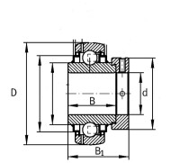 Lagereinsatz GE55 KRRB 55x100 gallery 3_2nd