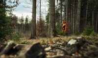 STIHL Bundhose ADVANCE FlexTEC Design A / Klasse 1, Gr. S+6 