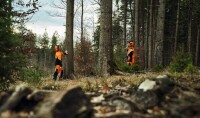 STIHL Bundhose DYNAMIC DuroTEC, Design A / Klasse 2, Gr. 3XL