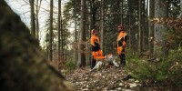 STIHL Bundhose DYNAMIC DuroTec Design A / Klasse 1, Gr. L-6 