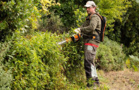 STIHL Akku-Heckenschere HSA 94 R, 600mm/24" 4
