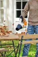 STIHL Akku-Laubbläser BGA 30 - inkl. 2 Akkus & Lade