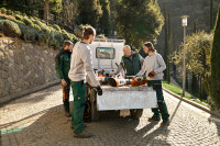 STIHL Smart Connector, 10 Stück 3