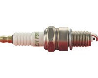 Arnold Zündkerze F5RTC