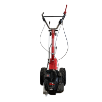 eurosystems Mehrzweckgerät M250 EVO (P70) (B&S) Ins