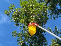 WOLF-Garten Obstpflücker mit Gelenk RG-M 4