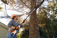 STIHL Hochentaster HTA 50, ohne Akku & Ladegerät 3