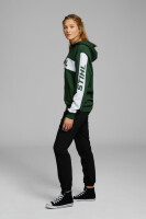 STIHL Hoodie Gr. S COLORBLOCK SLEEVE Grün 4