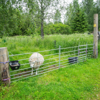 Kellfri Weidepanel für Schafe 2,0 m 3
