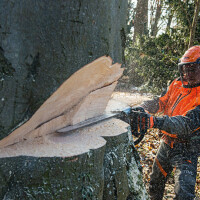 STIHL Motorsäge MS 661 C-M, gallery 38_2nd