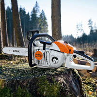 STIHL Motorsäge MS 201 C-M, PS3, Schnittlänge 30cm