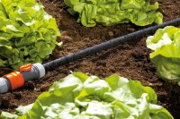 Gardena Perlregner 7,5 m 3