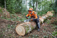 STIHL Upgrade Kit 2, HEXA 36RH60, Schienenlänge 40 cm 4