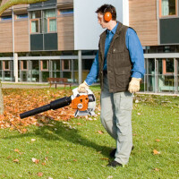 STIHL Blasgerät BG 66-D 3