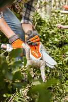 STIHL Akku-Gehölzschneider  gallery 17_2nd