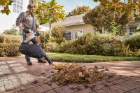 STIHL Akku-Saughäcksler SHA 56, mit Akku AK 20 und Lade