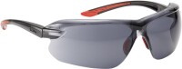 Bollé Brille IRI-S Rauchglas gallery