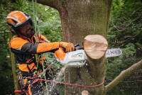 STIHL Akku-Motorsäge MSA 220 T, PS3, Schienenlänge