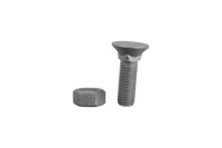 Pflugschraube M12x1,75x40 und Sechskantmutter 1