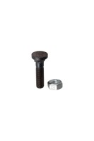 Pflugschraube M10x1,5x45 und Sechskantmutter 1