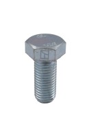 Schraube M24x3x55 1