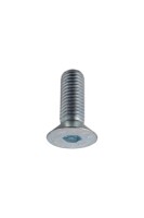 Schraube ISO10642 verzinkt