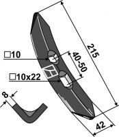 Schar 2