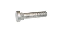 Schraube M16x1,5 - 10.9 1