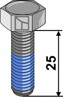 Sicherungsschraube 2