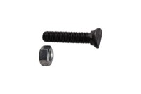 Planetschraube - M12x60 - 10.9 1