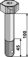 Schraube M20 2