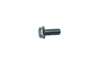 Sperrzahnschraube M12x1,75 1