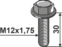 Sperrzahnschraube M12x1,75 2