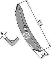 Schar 2