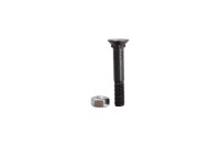 Pflugschraube M12x1,75x75 und Sechskantmutter 1