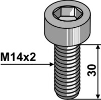 Innensechskantschraube - M14x2 - 10.9 2