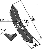 Schar 2