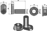 Konusschraube oval mit Bundmutter 2