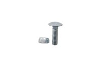 Flachrundschraube M10x1,5x35 mit Selbstsichernder Mutter 1