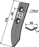 Schar 2