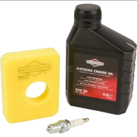 Briggs &amp; Stratton Wartungssatz f&uuml;r 450E,...