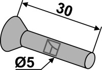 Senkniete Ø5x30 2