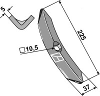 Schar 2