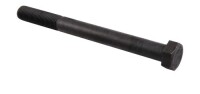 Schraube M16x2 x 145 - 10.9 1