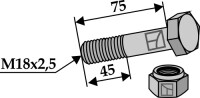 Sechskantschraube M18x2,5x75 mit Sicherungsmutter
