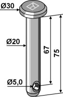 Splintbolzen Ø20x75 2